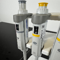 Eppendorf Research Plus Single Channel Pipettes - Quantity 6 image 0